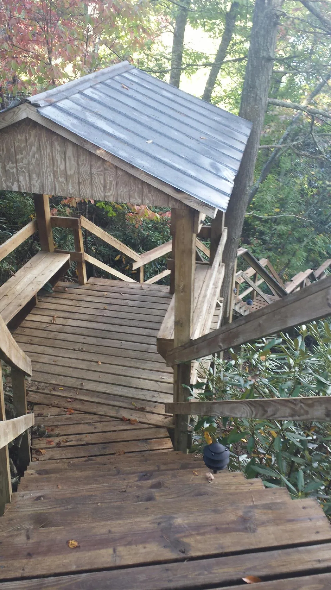 Metal roofed shelter over wooden steps on a wooded walkway — Skylight Repair & Installation work by our crew in Bloomington Springs