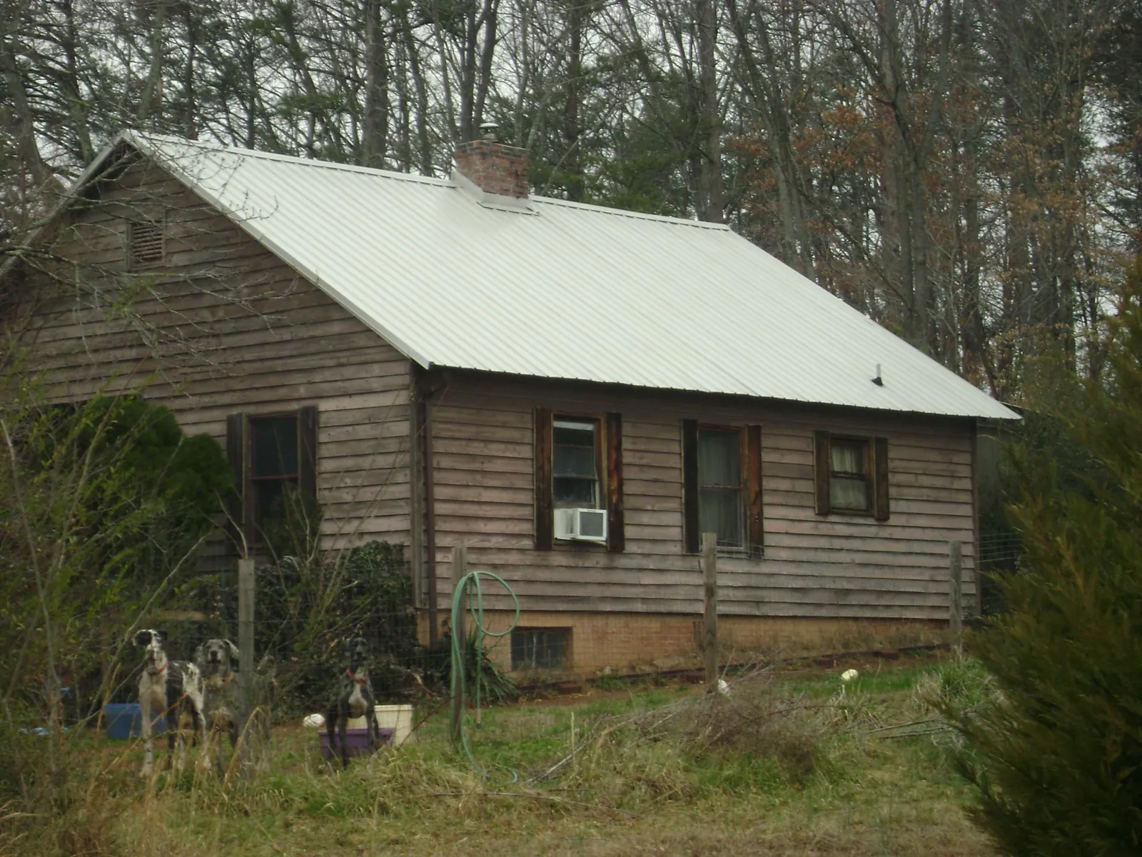 White metal roof on an old wood sided farmhouse, from a Metal Roof Installation job in Bloomington Springs